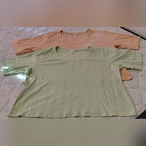 a.n.a. "brand" Size 3x Women's Ribbed Knit Tops - Peach and Light Green(2/for)